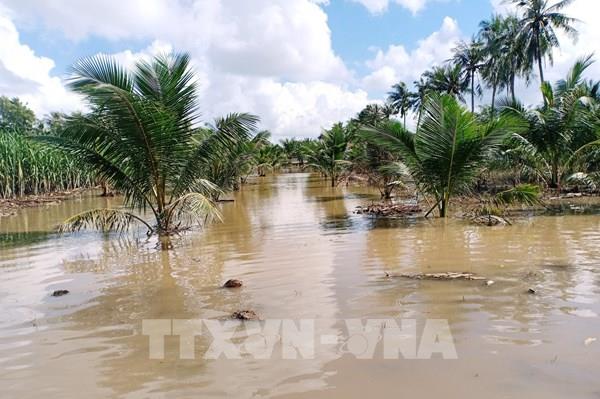 Dự báo đỉnh triều các vùng ven biển Nam Bộ tiếp tục tăng từ ngày 15-16/12