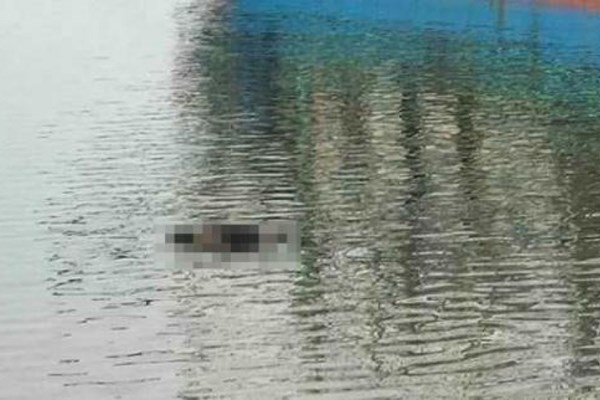 Lâm Đồng: Tìm thấy thi thể nam thanh niên rơi xuống hồ