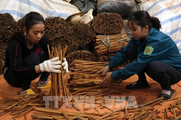 Tạo động lực phát triển kinh tế từ các sản phẩm OCOP