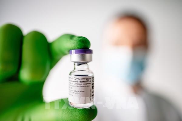 Singapore phê duyệt vaccine của Pfizer/BioNTech