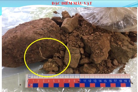 Khởi tố vụ án buôn lậu 44.000 tấn quặng của Công ty Bảo Nguyên