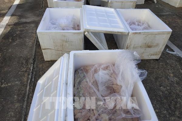 Phát hiện xe khách vận chuyển 1,7 tấn nội tạng động vật không rõ nguồn gốc