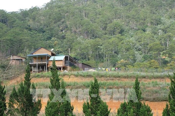 Vụ làng biệt thự chiếm rừng trái phép ở Lâm Đồng: Xác định thêm chủ của 8 căn nhà