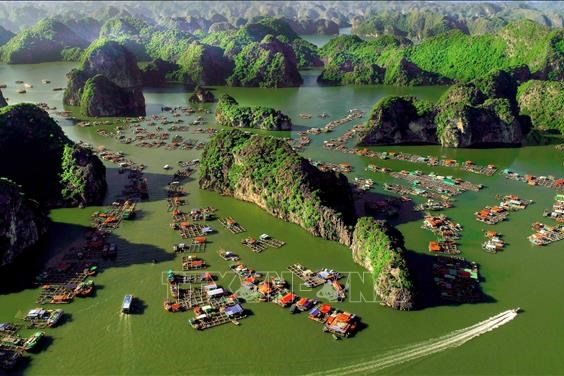 Nghỉ lễ tại Cát Bà có gì vui không?