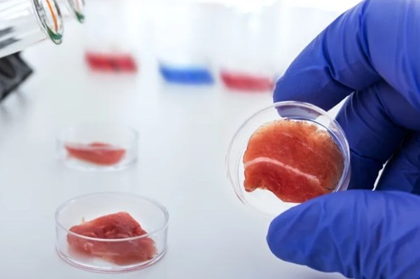 Thịt gà nuôi cấy trong phòng thí nghiệm chính thức ra mắt tại Singapore