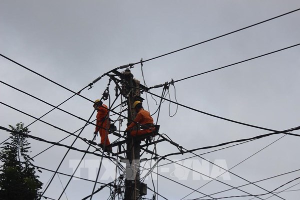 Gia Lai tập trung ngăn ngừa sự cố lưới điện​