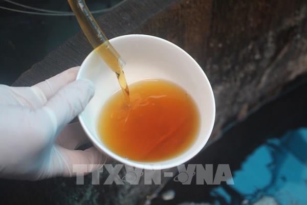 Thêm 18 sản phẩm của Cà Mau đạt OCOP 3 sao