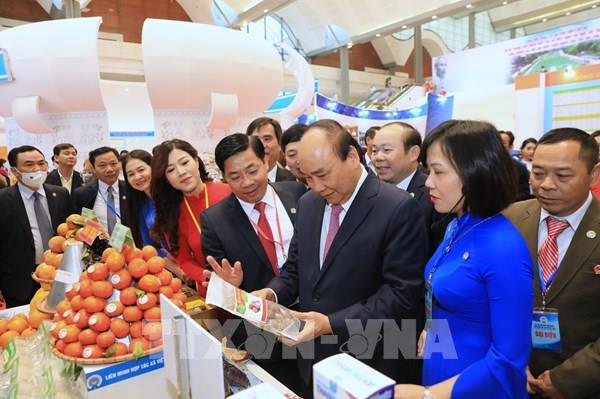 Thủ tướng: Rà soát, hoàn thiện cơ chế, chính sách về phát triển kinh tế tập thể