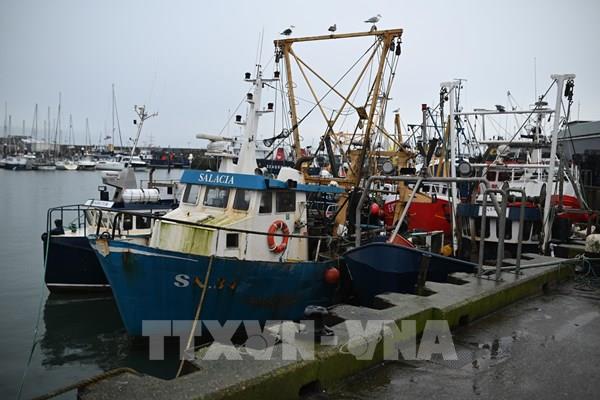 Bloomberg: EU từ chối nhượng bộ của Anh về vấn đề đánh bắt cá