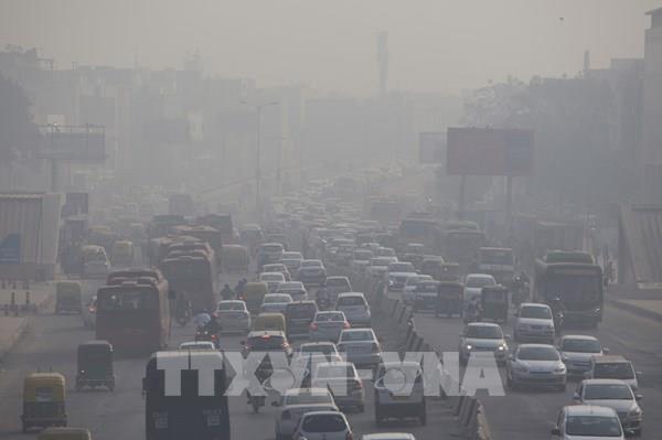 UNEP: Suy thoái môi trường dẫn đến nhiều hệ lụy với nhân loại