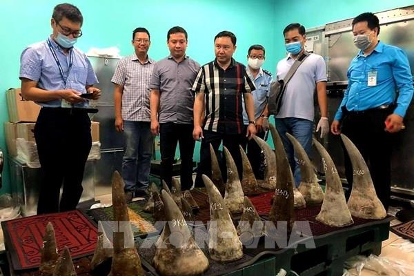 Phát hiện hơn 90 kg mẫu vật nghi là sừng tê giác tại sân bay Tân Sơn Nhất