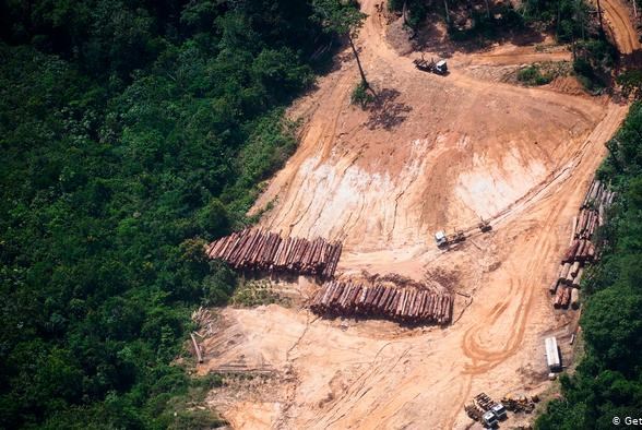 Brazil thu giữ khối lượng gỗ lậu lớn nhất từ trước đến nay