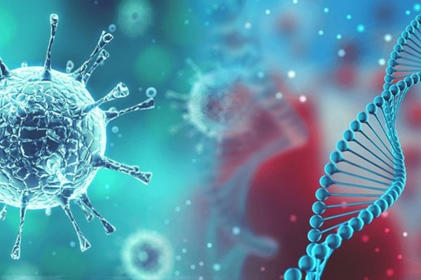 Trung Quốc: Tỉnh Hồ Nam xác nhận một bệnh nhân nhiễm virus cúm gia cầm H5N6