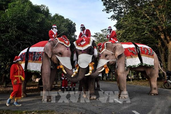Ông già Noel cưỡi voi phát khẩu trang để nâng cao ý thức phòng dịch COVID-19