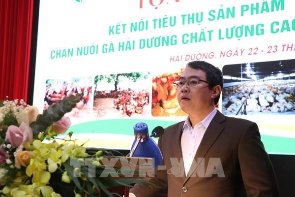 Kết nối tiêu thụ sản phẩm chăn nuôi gà chất lượng cao