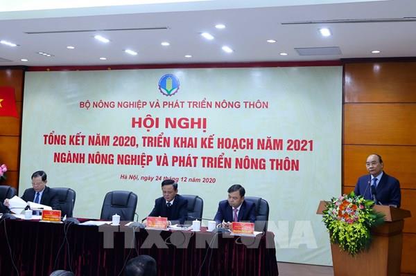 Thủ tướng: Cần chuyển đổi tư duy từ sản xuất nông nghiệp sang kinh tế nông nghiệp