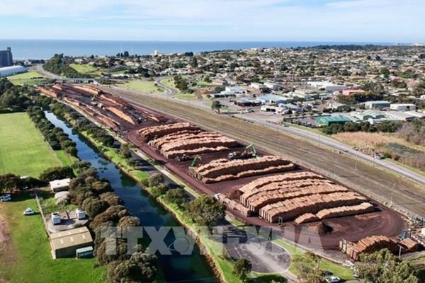 Trung Quốc tiếp tục hạn chế nhập khẩu gỗ từ Australia