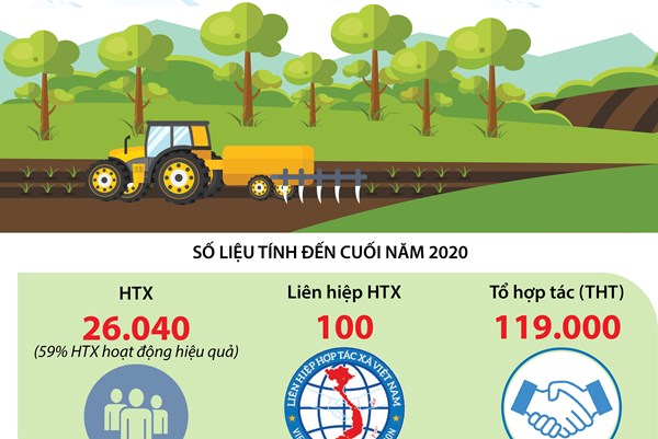 Kinh tế tập thể, HTX đóng góp thế nào vào GDP của cả nước?