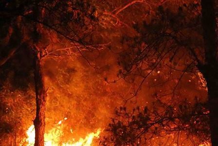 Hà Nội: Đang xảy ra cháy lớn khu rừng trồng ở huyện Sóc Sơn