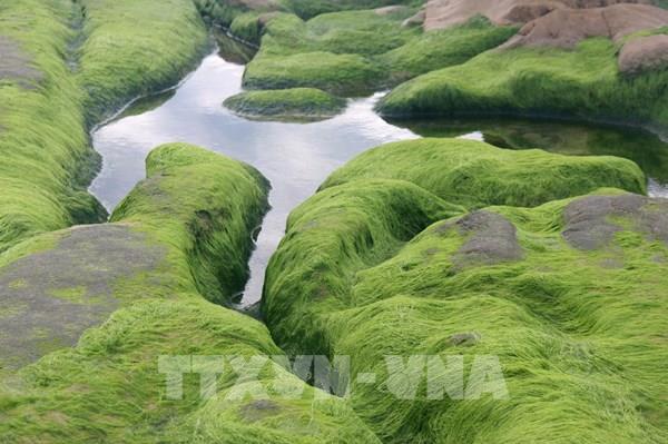 Bình Thuận giới thiệu các “điểm đến” mới lạ