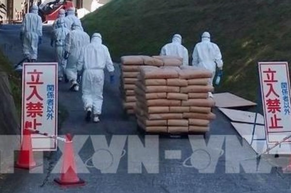 Hong Kong (Trung Quốc) tạm dừng nhập khẩu gia cầm từ Đức, Ba Lan và Nhật Bản