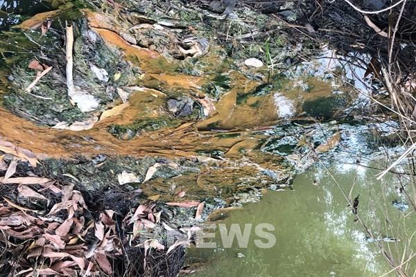 Đồng Nai: Sẽ kiểm tra, xử lý trường hợp gây ô nhiễm môi trường ở xã Xuân Tâm