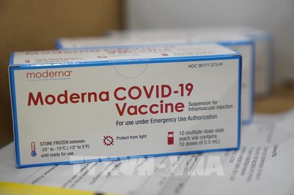 Anh sẽ sử dụng vaccine COVID-19 của Moderna từ giữa tháng 4