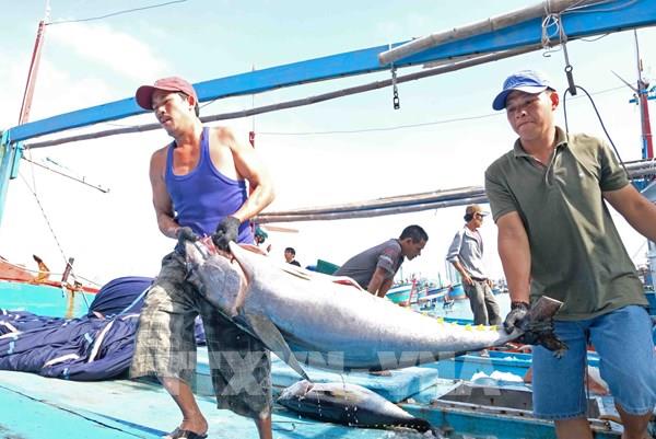 Báo Pháp: Kinh tế Việt Nam vẫn "thoát hiểm" dù gặp khó vì COVID-19