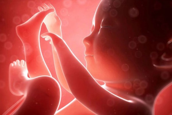 Phát hiện tế bào ung thư truyền từ mẹ sang con qua nước ối