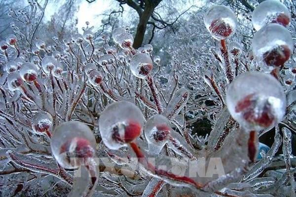 Băng tuyết xuất hiện tại nhiều nơi