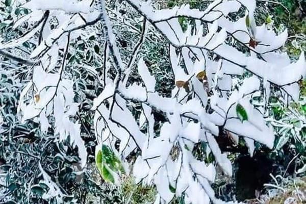 Đỉnh đèo Khau Phạ ở Yên Bái xuất hiện băng giá