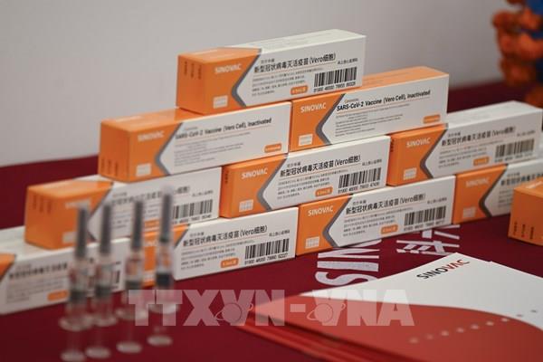 Indonesia chính thức cấp phép sử dụng vaccine COVID-19 của Sinovac