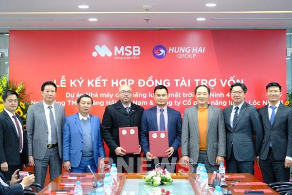 MSB công bố gói tín dụng 30.000 tỷ đồng dành riêng cho các dự án năng lượng tái tạo