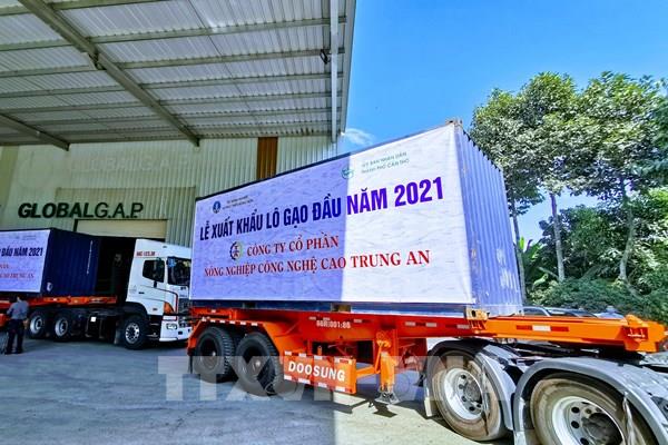 Xuất khẩu gạo kỳ vọng sớm khởi sắc