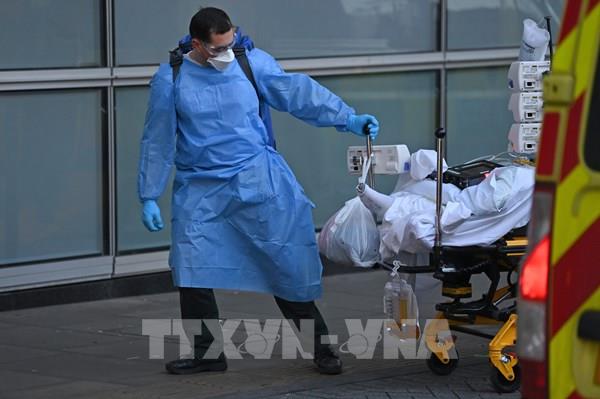 EU phát triển các dự án nghiên cứu huyết tương phục vụ điều trị COVID-19