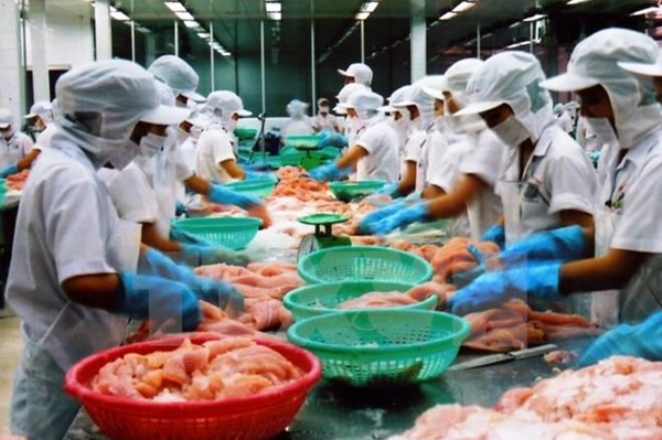 Dù dịch COVID-19, xuất khẩu nông, lâm, thủy sản vẫn tăng mạnh