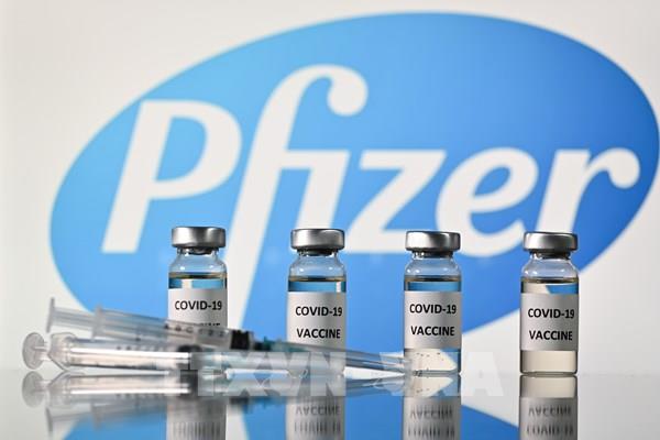 Pfizer ước doanh thu bán vaccine ngừa COVID-19 đạt 15 tỷ USD