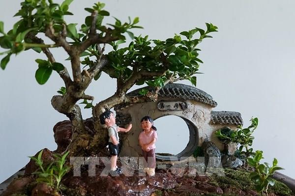 Độc đáo bộ sưu tập Bonsai và tiểu cảnh mini đạt kỷ lục Thế giới