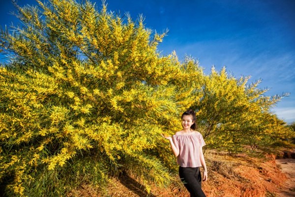 Check in cùng thiên nhiên hoang sơ ở Bình Thuận