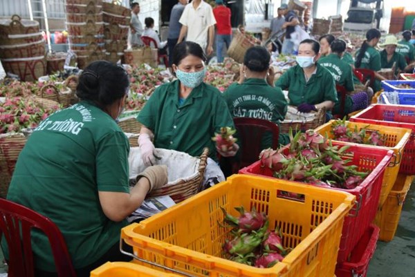 Xúc tiến thương mại những mặt hàng nông nghiệp đặc sản