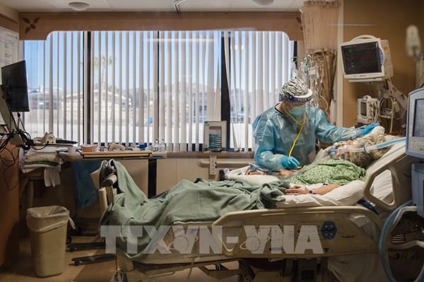 Mỹ: Số ca tử vong bởi COVID-19 vượt số binh sĩ thiệt mạng trong Chiến tranh Thế giới II