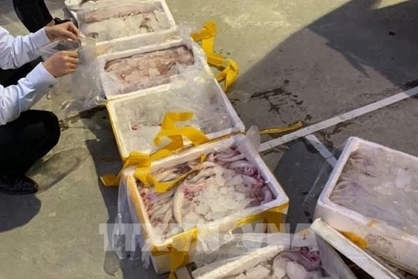 Thanh Hóa: Phát hiện xe tải vận chuyển 250kg cá khoai ướp phóc-môn ​