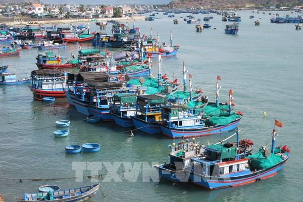 Ứng dụng công nghệ vào giám sát khai thác hải sản, khắc phục "thẻ vàng" IUU