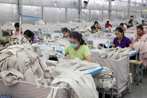 Đại sứ Ấn Độ tại Việt Nam: Nghiên cứu kết nối đường bộ Ấn Độ - Việt Nam