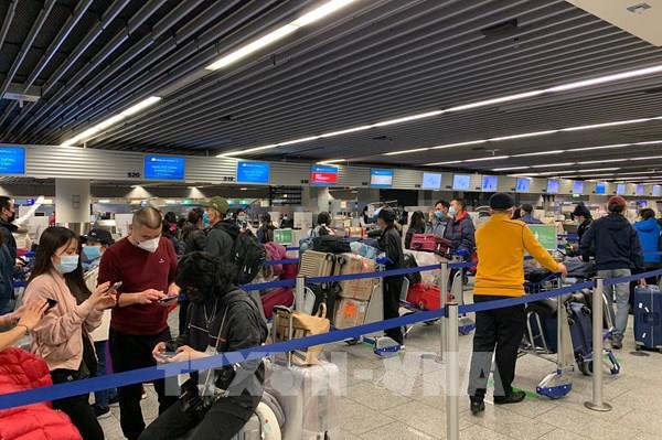 Việt Nam thêm hai ca mắc COVID-19 được cách ly ngay sau khi nhập cảnh