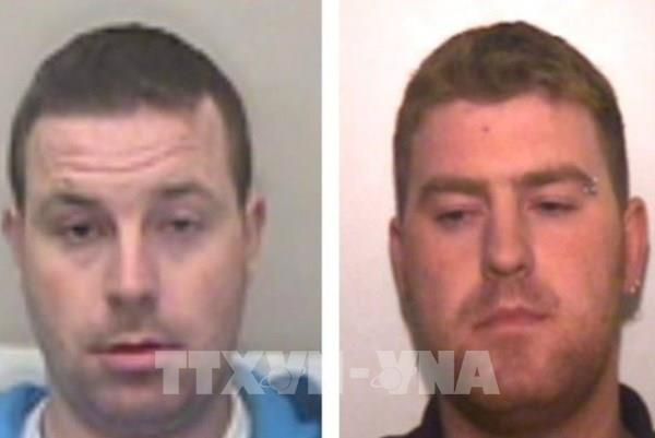 Vụ 39 thi thể trong xe tải ở Anh: Tòa tuyên án các bị cáo tổng cộng 78 năm tù giam