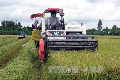 Thị trường nông sản tuần qua: Các mặt hàng có diễn biến trái chiều
