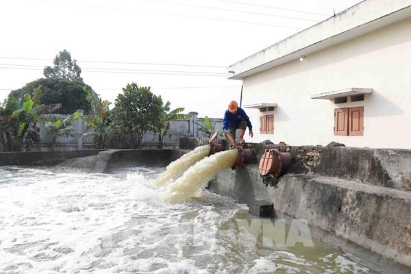 Tập trung cao điểm lấy nước trong đợt 2 để hoàn thành cơ bản gieo cấy