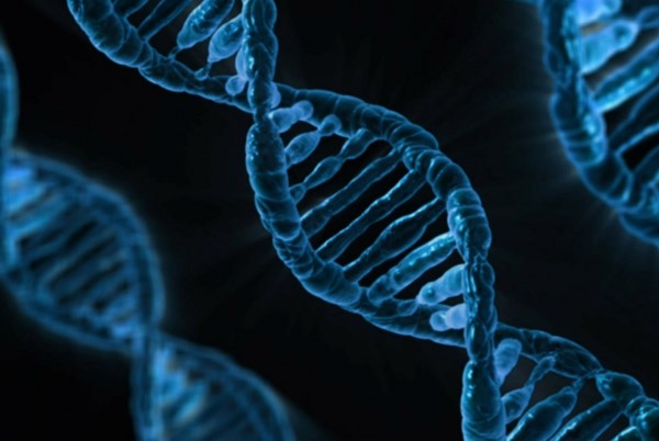 Trung Quốc phát triển liệu pháp gene làm chậm lão hóa