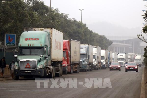 Lào Cai: Hàng nghìn xe container chở hàng bị mắc kẹt ở cửa khẩu Kim Thành